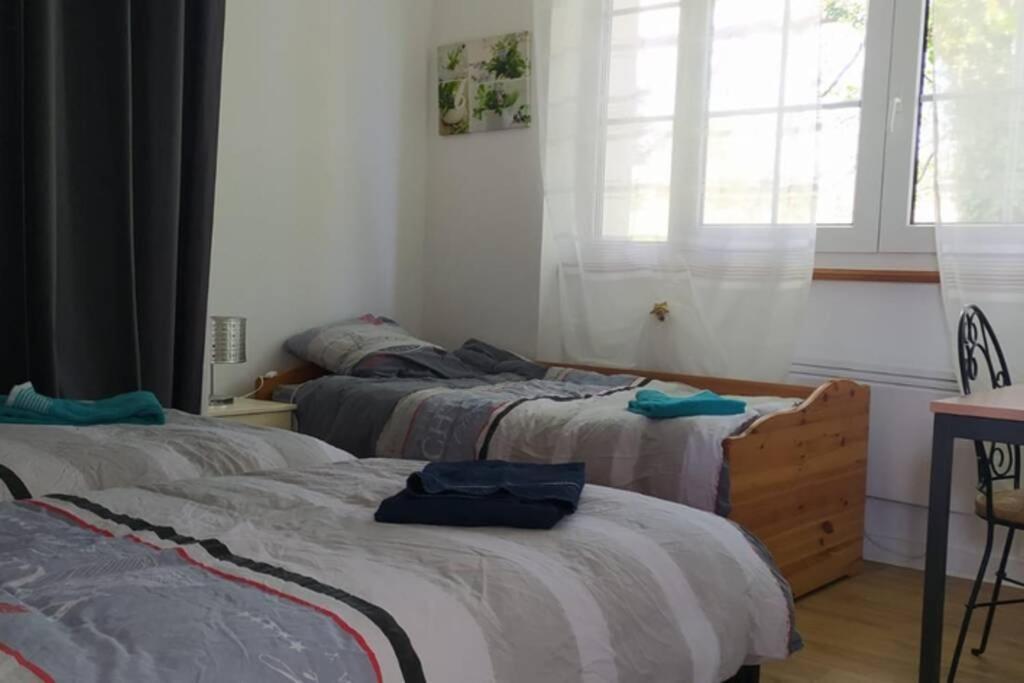 12 Rdc Appartement 2 Chambres Jardin Terrasse Plonéour-Lanvern المظهر الخارجي الصورة