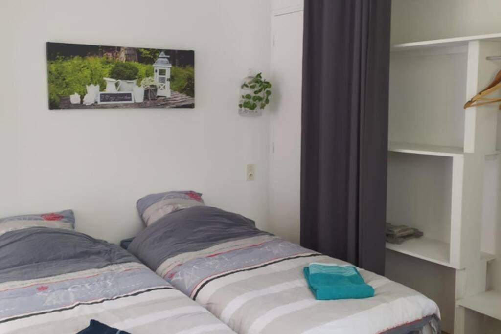 12 Rdc Appartement 2 Chambres Jardin Terrasse Plonéour-Lanvern المظهر الخارجي الصورة